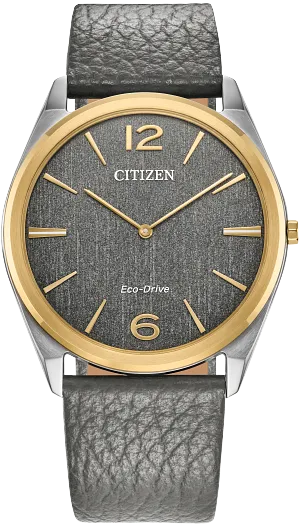 Citizen Eco-Drive Suratto