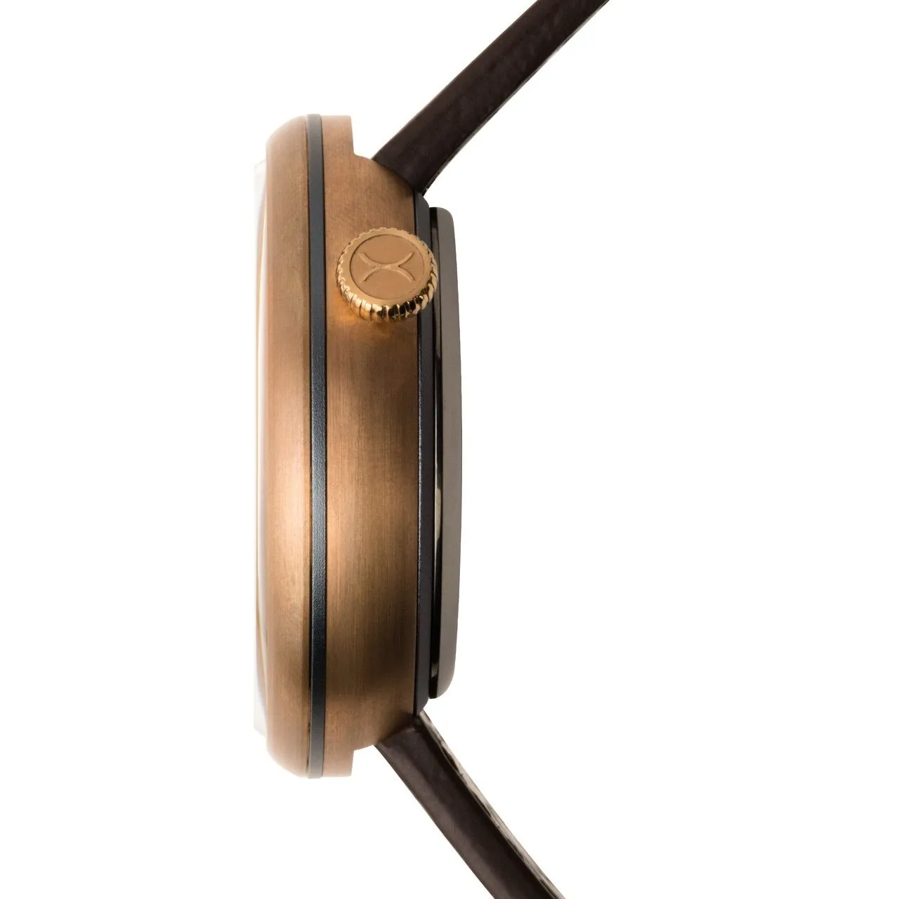 Halograph II Automatic Bronze Blue Limited Edition